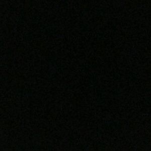 Meet your Posher, Lilly